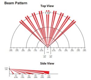 dg55 paradox