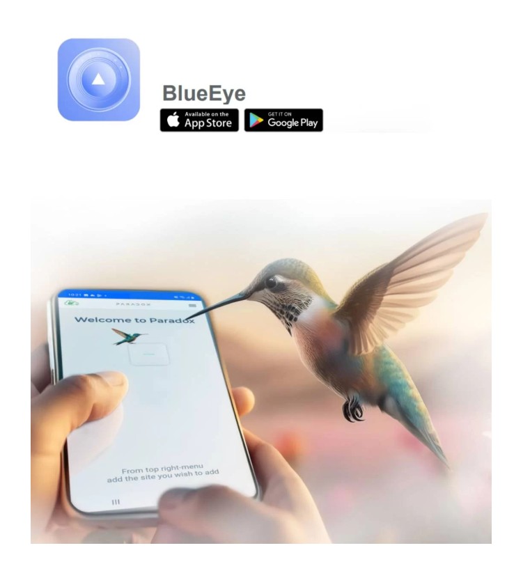 paradox-m25-blueeye paradox-m25-blueeye